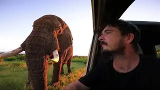 GoPro Elephant Adventure!