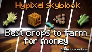 Best crops to farm money in hypixel skyblock 2 milion coins an hour