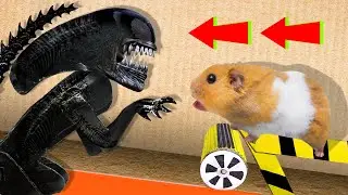 🐹 Alien Hamster Maze with Traps 😱[OBSTACLE COURSE]😱 + BONUS | Awesome Hamster Escape