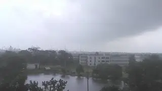 Live Nature