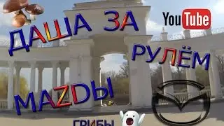 ПАРК/ГРИБЫ/ДАША ЗА РУЛЁМ