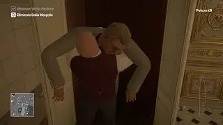 BEGINNER'S GUIDE TO HITMAN WITH SILENT ASSASIN - THE SHOWSTOPPER