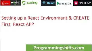 Setting up a React Environment and First React App