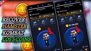 How to Recover Lost Coins in Hamster Kombat || Recover Missing Coins in Hamster Kombat