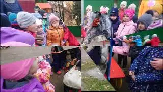 Транспорт