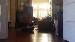 Bosu Balance and Stability Entelechy Coaching