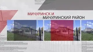 Город N - Мичуринск