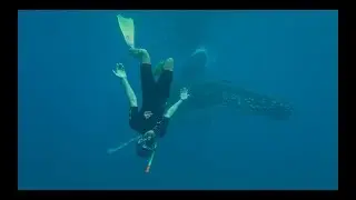 Куда приводят мечты 😭🌌❤️🐋