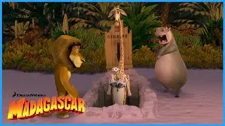 How to Escape the Island of Madagascar | DreamWorks Madagascar
