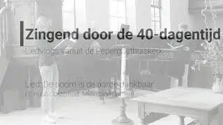 Liedvlogs - De boom is de aarde dankbaar