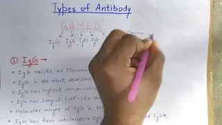 Types of Antibody | Immunology