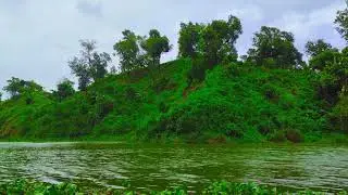 Hill Tour.