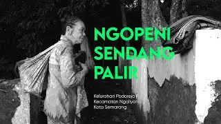 Ngopeni Sendang Palir