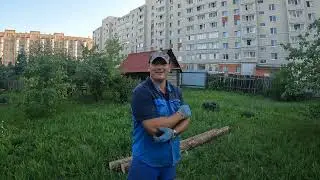 Деревянные столбы на забор. С доставкой на дом)