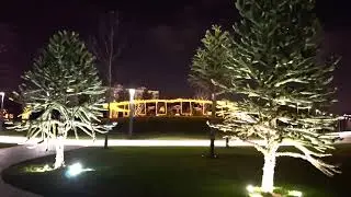 новогодний парк