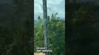 РИМ-НЕАПОЛЬ