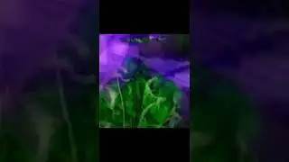 Эдит|Фиксай/Лиана
