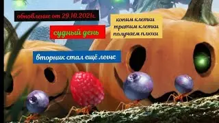 🐜🐜 the ants underground kingdom  что нового в игре от 29.10.2021г быстрая прокачка стала легче в свс