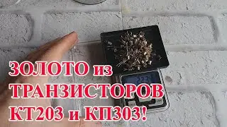 ЗОЛОТО ИЗ КТ203 и КП303 ТРАНЗИСТОРЫ СССР 22 гр!