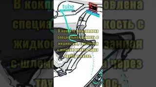 Что пьют пилоты Формулы 1? 