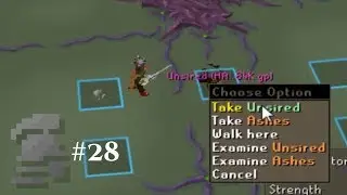 OSRS Ironman Progress #28 | Finally Bossing!