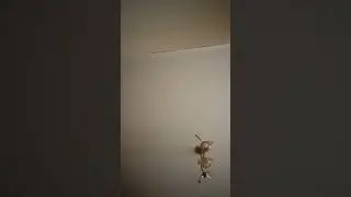 я не могу сказать что это стина Ливит как змея