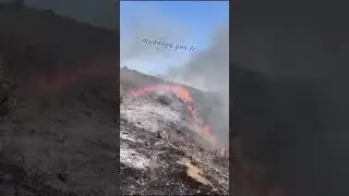 Mudanya   Kapanca da makilik alan yangını
