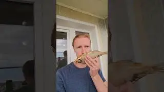 Чё прям нельзя?😋