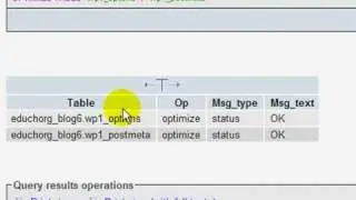 WordPress Database Tip: How to Optimize and/or Repair Your Database