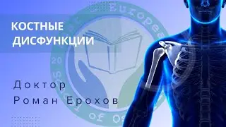 КОСТНЫЕ ДИСФУНКЦИИ | ДОКТОР РОМАН ЕРОХОВ | ВОСТОЧНО-ЕВРОПЕЙСКАЯ ШКОЛА ОСТЕОПАТИИ