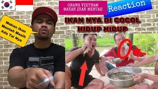 ORANG VIETNAM MAKAN IKAN HIDUP HIDUP MASIH ADA TAI NYA