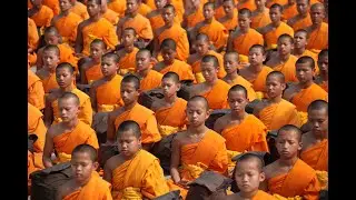 Concentration Camp