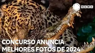 Sony World Photography Awards anuncia melhores fotos de 2024