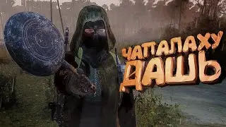 Фрики в Dayz Stalker RP 🤡 Тяжёлая судьба Одиночки