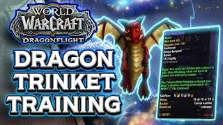 How to Train Your Dragon TRINKET *INSANE DPS* | WoW's Best Kept Secret?
