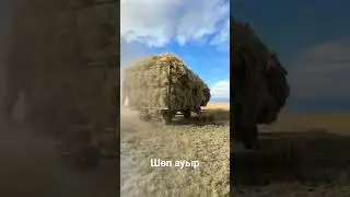 3 октября 2023 г.