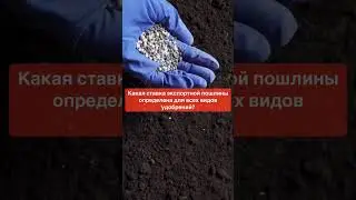 Новости логистики_DASLAB