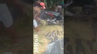 NGgeblok Padi 🤣🤣🤣