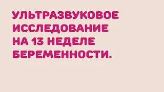УЗИ на 13 неделе беременности