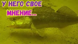 СУДАК ПОЗДНЕЙ ОСЕНЬЮ,,,НЕ ВСЕГДА ВСЕ ПО ПЛАНУ,,,