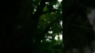 Subscribe For More Photography Videos 