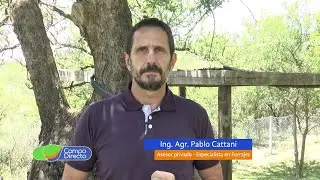 Estructuras de almacenaje: Silos aéreos o silos bolsa