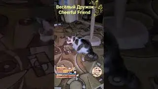 Веселый Дружок. Cheerful Friend.