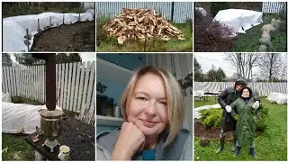 Укрытие роз! Сквозь тернии к розовому раю!🌹🌹🌹 Жизнь замечательных людей! 7 ноября 2023 г.