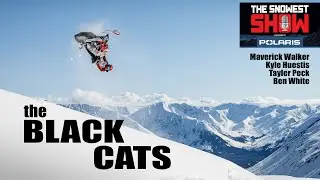 The Black Cats - Mav Walker, Kyle Huestis, Tayler Peck and Ben White