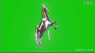 Green Screen_Silver horse walking display.No_copyright