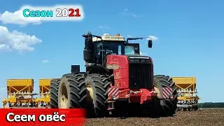 Сеем овёс РСМ 2375. Как считаю и настраиваю норму высева на сеялке 6 СКП-2.1