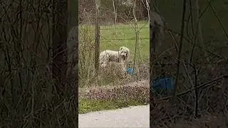 БЕДНЯГА😭😭😭