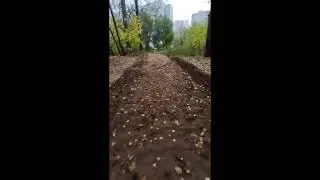 13.10.2022  SOS: на наш Строгинский парк напало 
