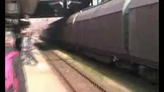 CFL Nohab with freighttrain in Fredericia